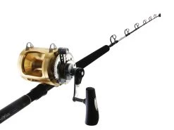 Shimano Tiagra 50 WLRSA And Abyss SW Stand Up Game Combo 5'2'' 50-80lb 1pc