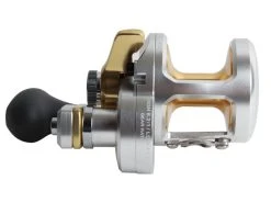 Shimano Talica 8 Carbolite SW 2-Speed Strayline Combo 7ft 6-10kg 1pc 11 Shimano Talica 8 Carbolite SW 2-Speed Strayline Combo 7ft 6-10kg 1pc -Shimano Shop trtac08 4 1 2