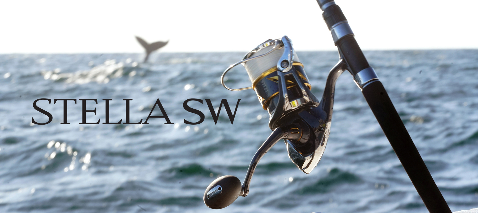 Front Page 1 Front Page -Shimano Shop Shimano3